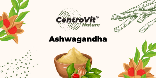 Superkraut Ashwagandha: Wirkung der besonderen Wunderpflanze