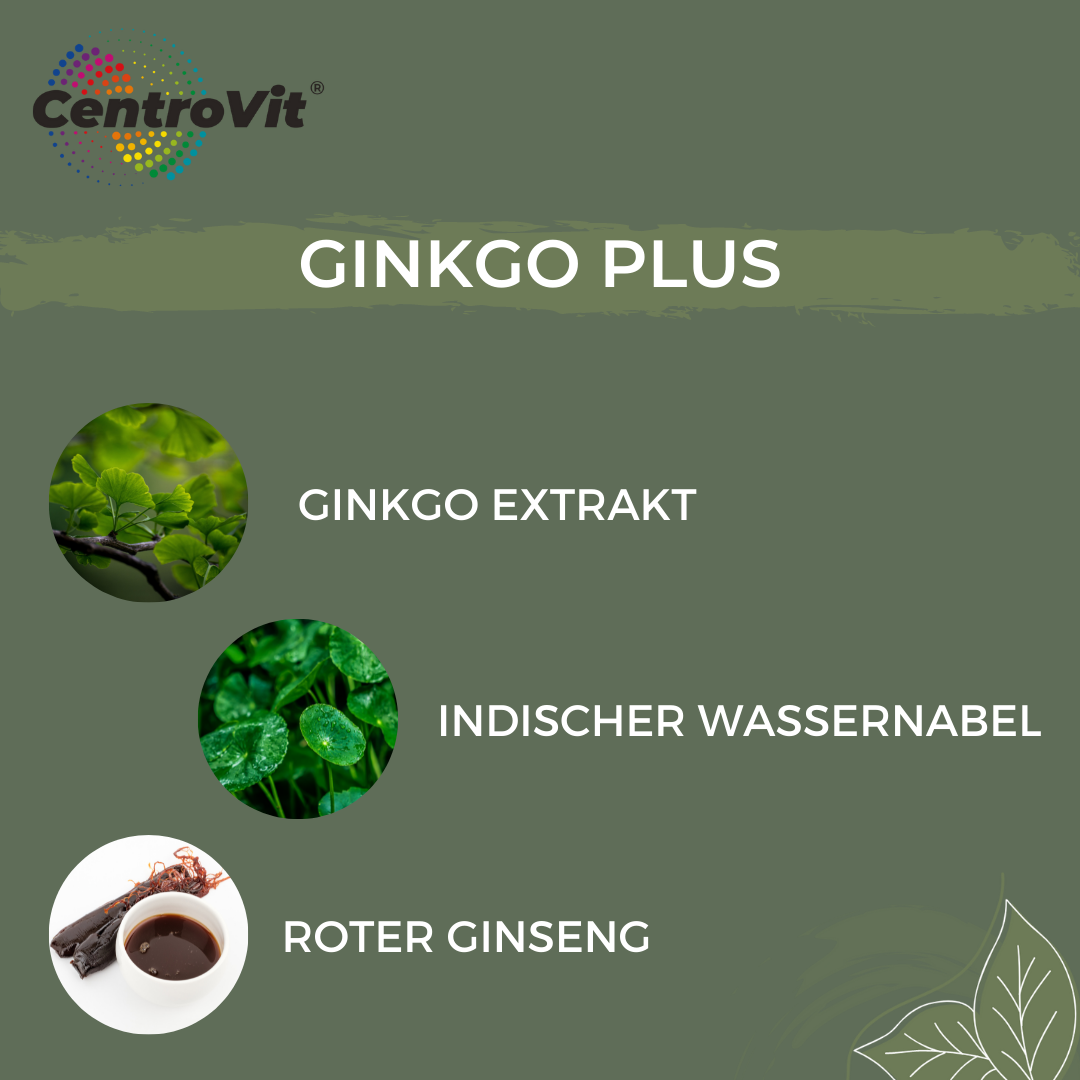 Ginkgo Plus