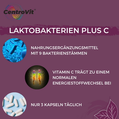 Lactobakterien plus C