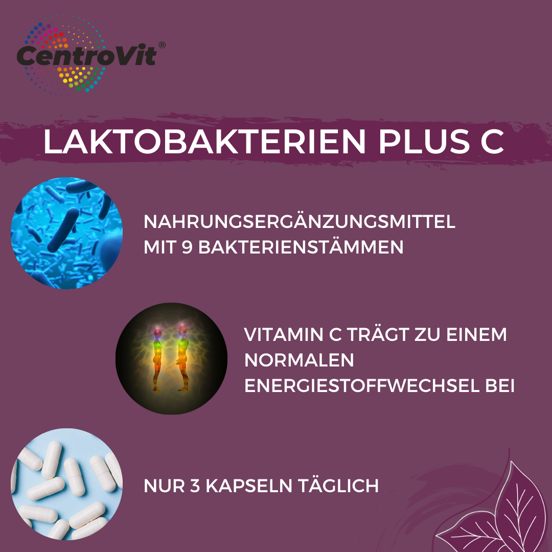 Lactobacilli plus C