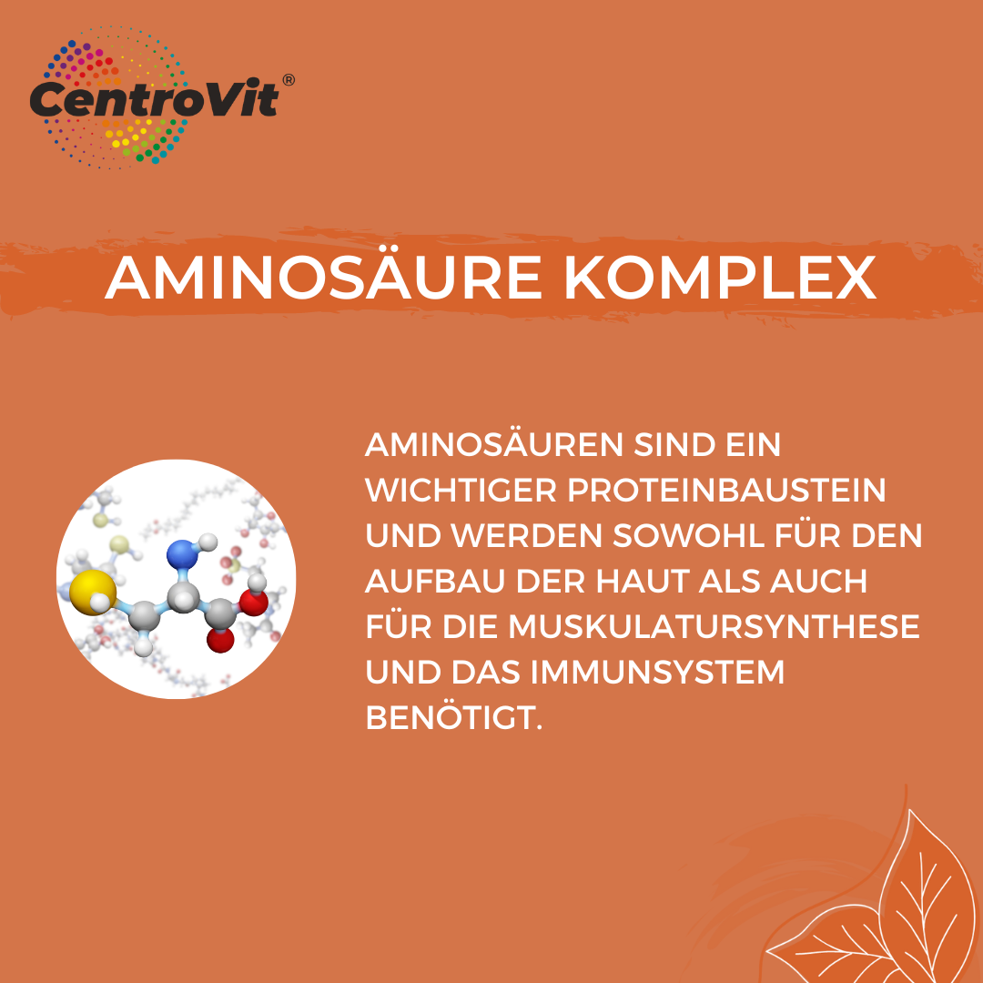 Aminosäure-Komplex